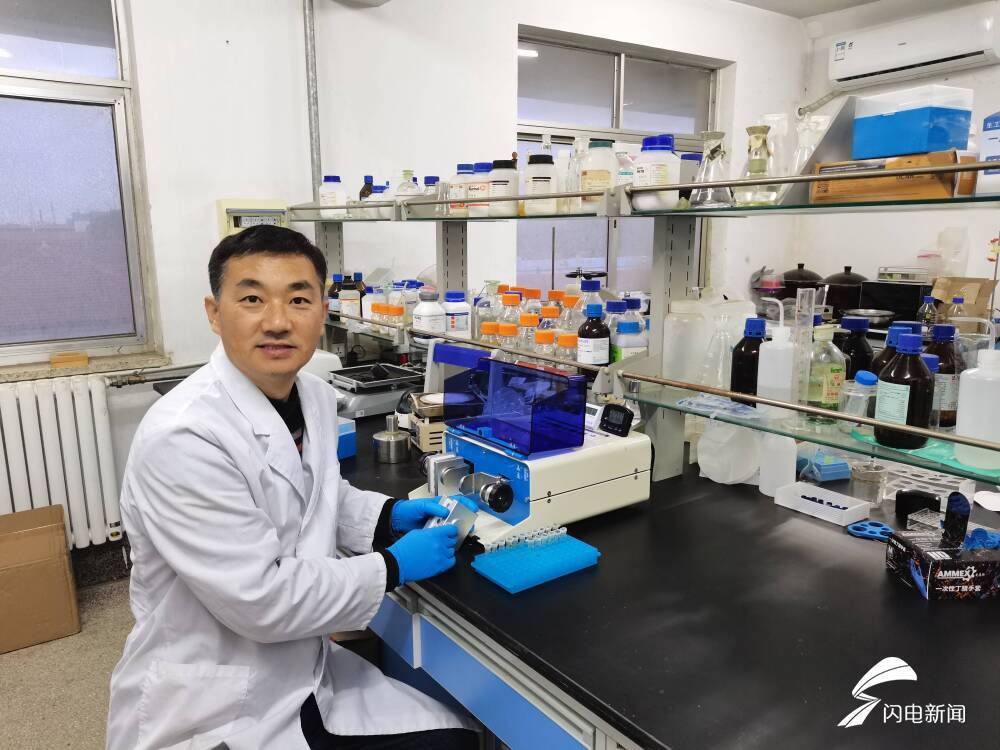 一種保健桑葉茶的制備方法 創新成果驅動健康農業發展