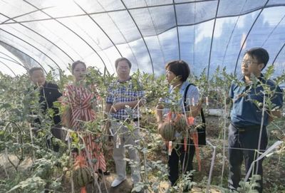 齊魯農(nóng)業(yè)專(zhuān)家重慶行 科技賦能農(nóng)業(yè)發(fā)展的探索與實(shí)踐